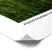 Voorbereiding Poster (Hoek)