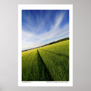 Voorbereiding Poster