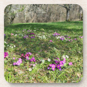 Voorbode van de lente bier onderzetter