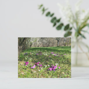 Voorbode van de lente briefkaart
