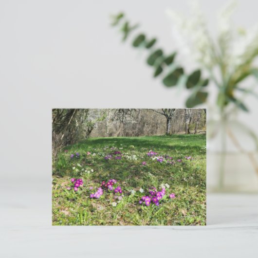 Voorbode van de lente briefkaart (Staand voorkant)