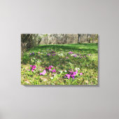 Voorbode van de lente canvas afdruk (Voorkant)