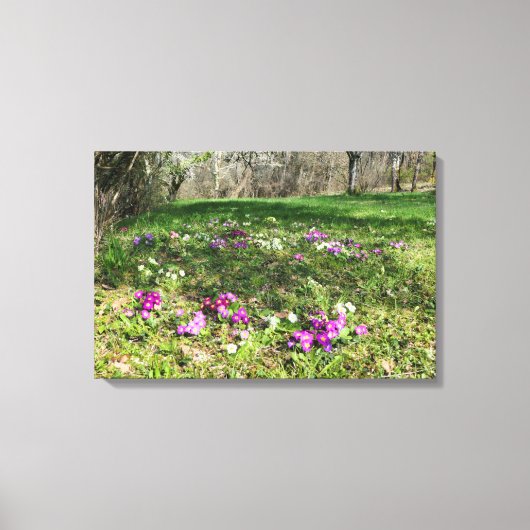 Voorbode van de lente canvas afdruk (Voorkant)