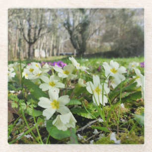 Voorbode van de lente glazen onderzetter