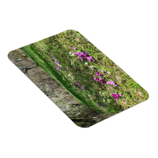 Voorbode van de lente magneet (Rechterzijde)