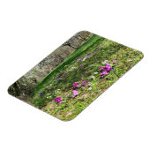 Voorbode van de lente magneet (Linkerzijde)