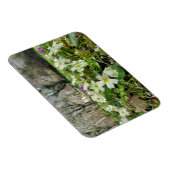 Voorbode van de lente magneet (Rechterzijde)