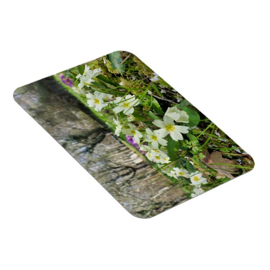 Voorbode van de lente magneet (Rechterzijde)