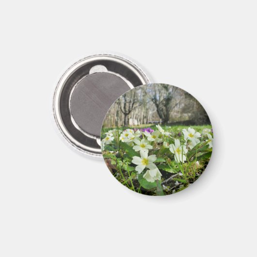 Voorbode van de lente magneet (Voorkant / Achterkant)