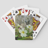 Voorbode van de lente pokerkaarten (Achterkant)