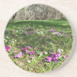 Voorbode van de lente zandsteen onderzetter