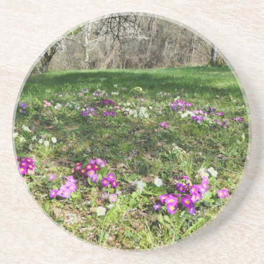 Voorbode van de lente zandsteen onderzetter (Voorkant)