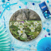 Voorbode van Spring Paper Bord (Feest)