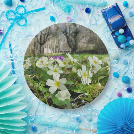 Voorbode van Spring Paper Bord (Feest)