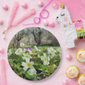 Voorbode van Spring Paper Bord (Feest)