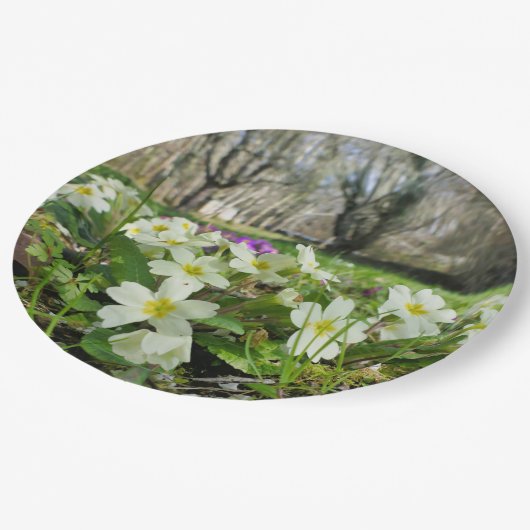 Voorbode van Spring Paper Bord (Gekanteld)