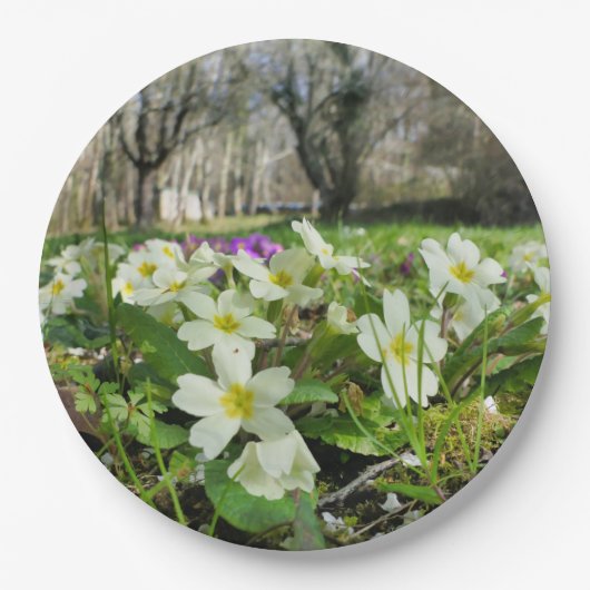 Voorbode van Spring Paper Bord (Voorkant)