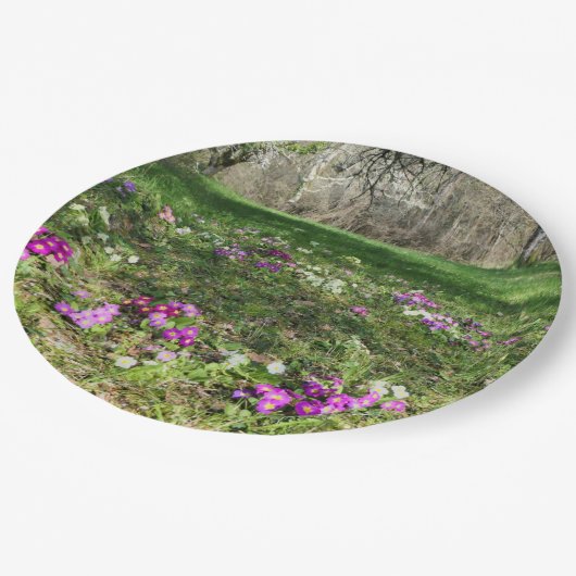 Voorbode van Spring Paper Bord (Gekanteld)