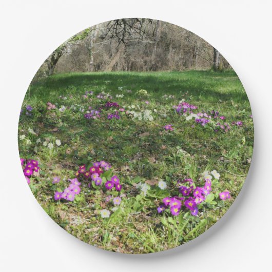 Voorbode van Spring Paper Bord (Voorkant)