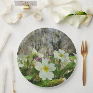 Voorbode van Spring Paper Bord