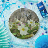 Voorbode van Spring Paper Bord (Feest)