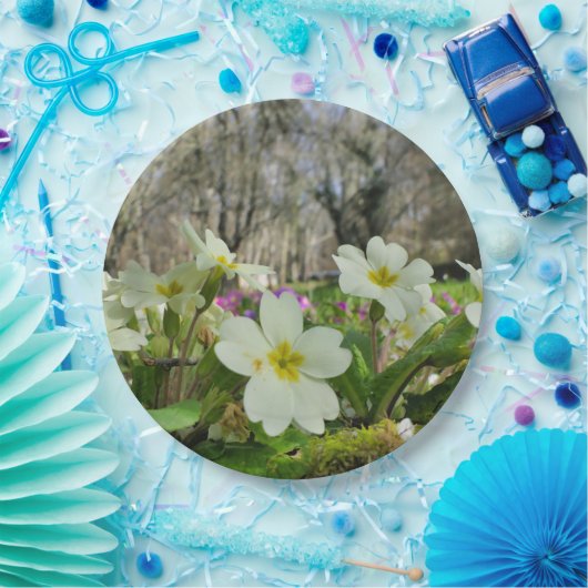 Voorbode van Spring Paper Bord (Feest)