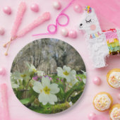 Voorbode van Spring Paper Bord (Feest)