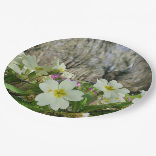 Voorbode van Spring Paper Bord (Gekanteld)