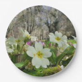 Voorbode van Spring Paper Bord (Voorkant)