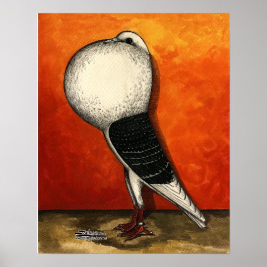 Voorburg Cropper Pigeon Blue Check Poster (Voorkant)
