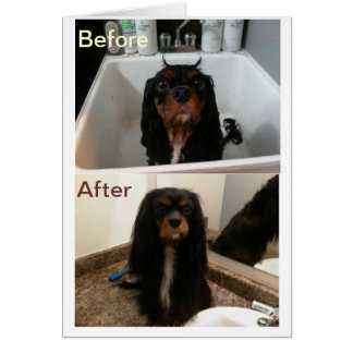 VOORDAT EN NA HET VERSTRIJKEN