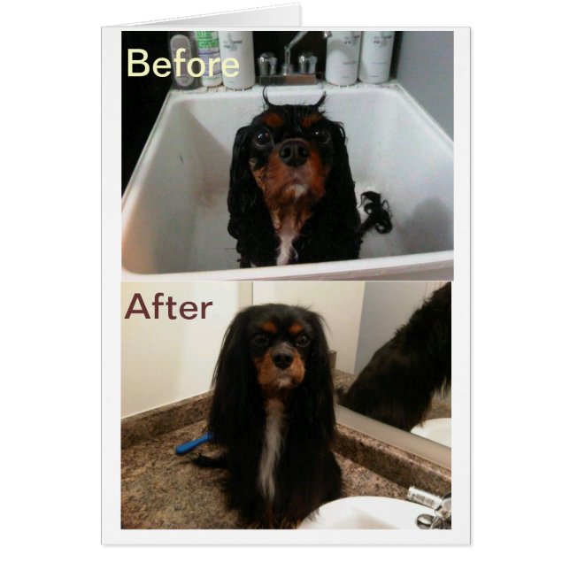 VOORDAT EN NA HET VERSTRIJKEN (Voorkant)