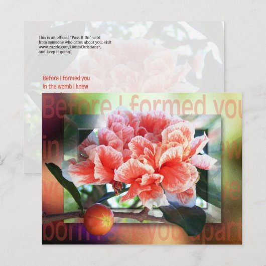 Voordat ik je formuleerde briefkaart (Voorkant / Achterkant)