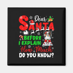 Voordat ik uitleg hoeveel je weet over Xmas Papill Magneet