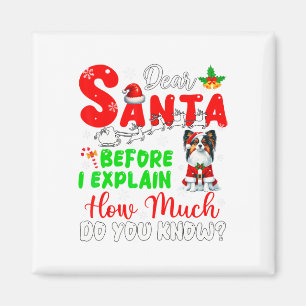 Voordat ik uitleg hoeveel je weet over Xmas Papill Magneet