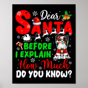 Voordat ik uitleg hoeveel je weet over Xmas Papill Poster