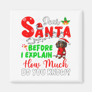 Voordat ik uitleg hoeveel je weet over Xmas teckel Magneet