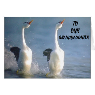 VOORDEEL VAN U **GRANDDAUGHTER** WENSEN VOOR DE TO