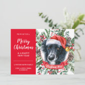 Voordelige kerstkaart voor Collie aan de grens Kaart (Staand voorkant)