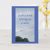 VOORDEN OP WIRE ZEGGEN **UITERSTE DAG ** KAART (Gele Bloem)