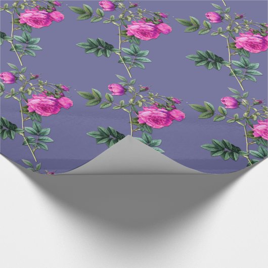 Vooreeuwig Roos Cadeaupapier (Hoek)