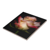 Vooreeuwig Roos Tegeltje (Zijkant)