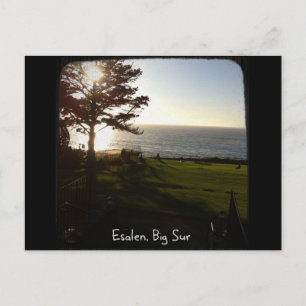 Voorgazon in Esalen, Big Sur Briefkaart