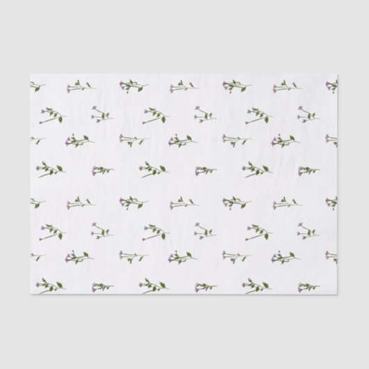 VOORGESCHREVEN STROMEN - Kekweed Willowherb - Open Tissuepapier (Voorkant)