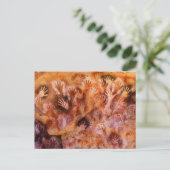 Voorhistorisch grotschilderij van handen Post Card Briefkaart (Staand voorkant)