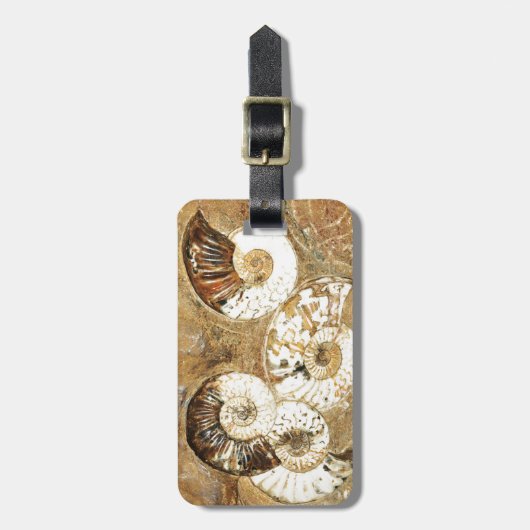 Voorhistorische achtergrond met fossiele schelpen bagagelabel (Voorkant verticaal)