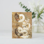 Voorhistorische achtergrond met fossiele schelpen briefkaart (Staand voorkant)