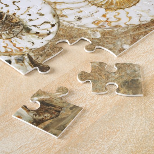 Voorhistorische achtergrond met fossiele schelpen legpuzzel (Zijkant)