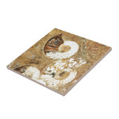 Voorhistorische achtergrond met fossiele schelpen tegeltje (Zijkant)