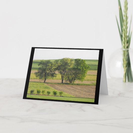 Voorjaar 16 ~ '10 ~ feestdagen kaart (Voorkant)